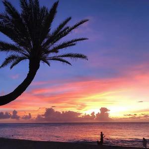 男人搞日韩美女的肛门动漫
